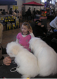 Pasja razstava COTON DE TULEAR