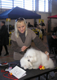 Pasja razstava COTON DE TULEAR