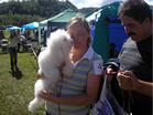 Coton de Tulear Pasja razstava COTON DE TULEAR