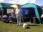 Coton de Tulear Pasja razstava COTON DE TULEAR