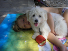 COTON DE TULEAR