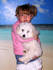 COTON DE TULEAR