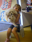 COTON DE TULEAR