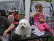 Pasja razstava COTON DE TULEAR