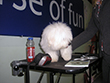 Pasja razstava COTON DE TULEAR