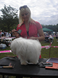 Pasja razstava COTON DE TULEAR