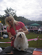 Pasja razstava COTON DE TULEAR