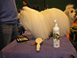 Pasja razstava COTON DE TULEAR