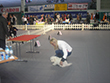 Pasja razstava COTON DE TULEAR