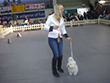Pasja razstava COTON DE TULEAR