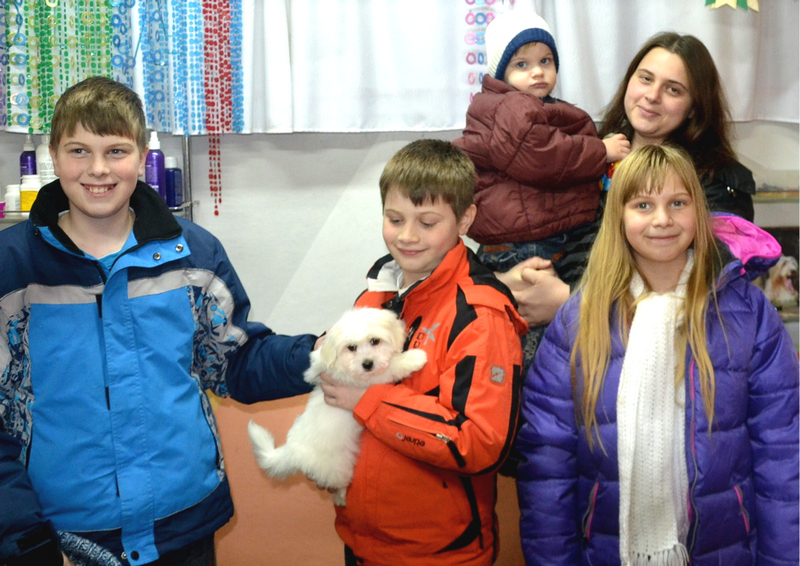 Coton de Tulear
