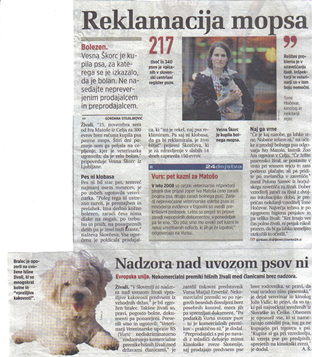 COTON DE TULEAR